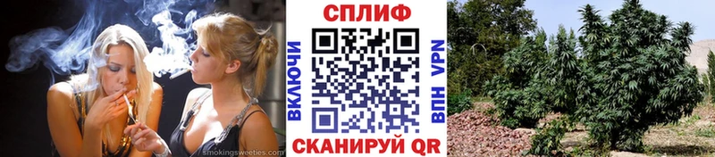 Наркошоп Гремячинск Галлюциногенные грибы Гашиш